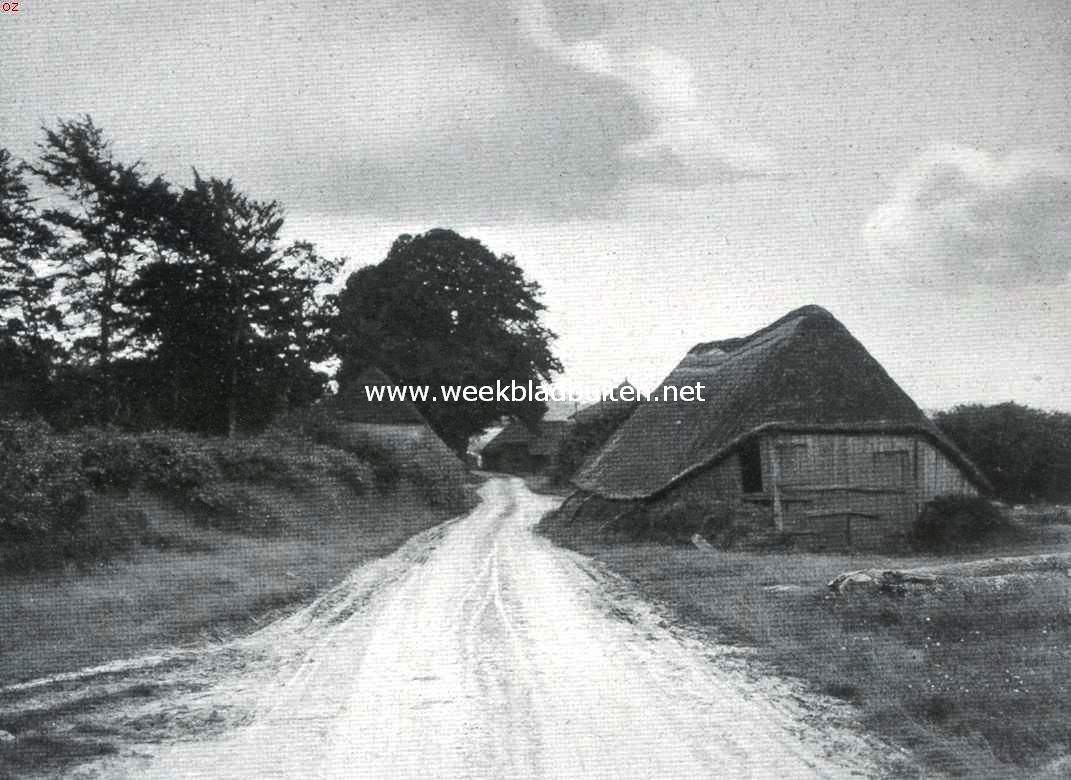 Putten en de Noorder Veluwe. Schaapskooien bij Garderen