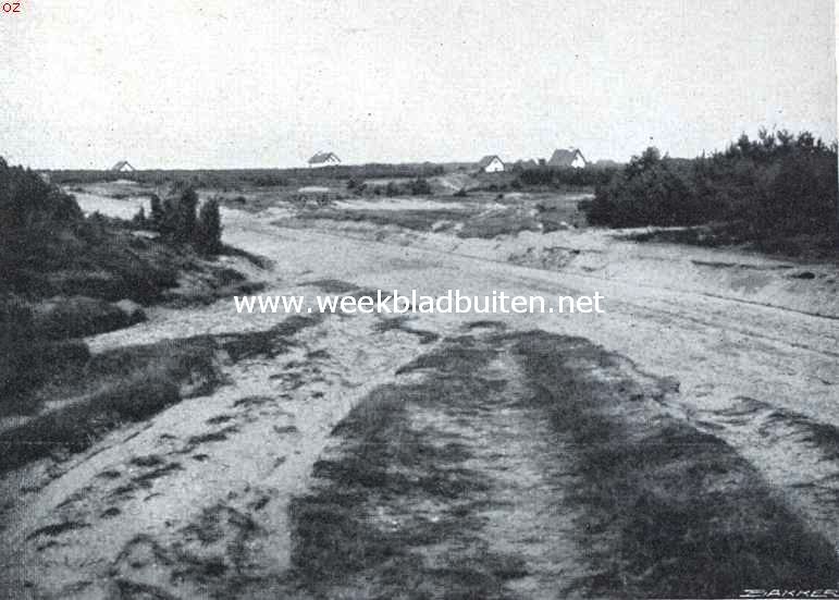 Rijssen. De heide