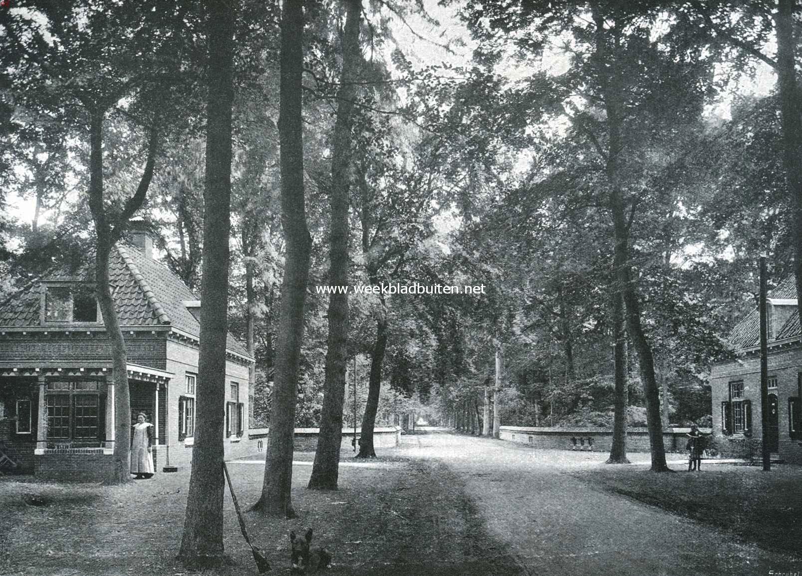 Bussum. 1817 - 1 mei - 1917. De steenen brug in het bosch van Bredius, Bussum's trots