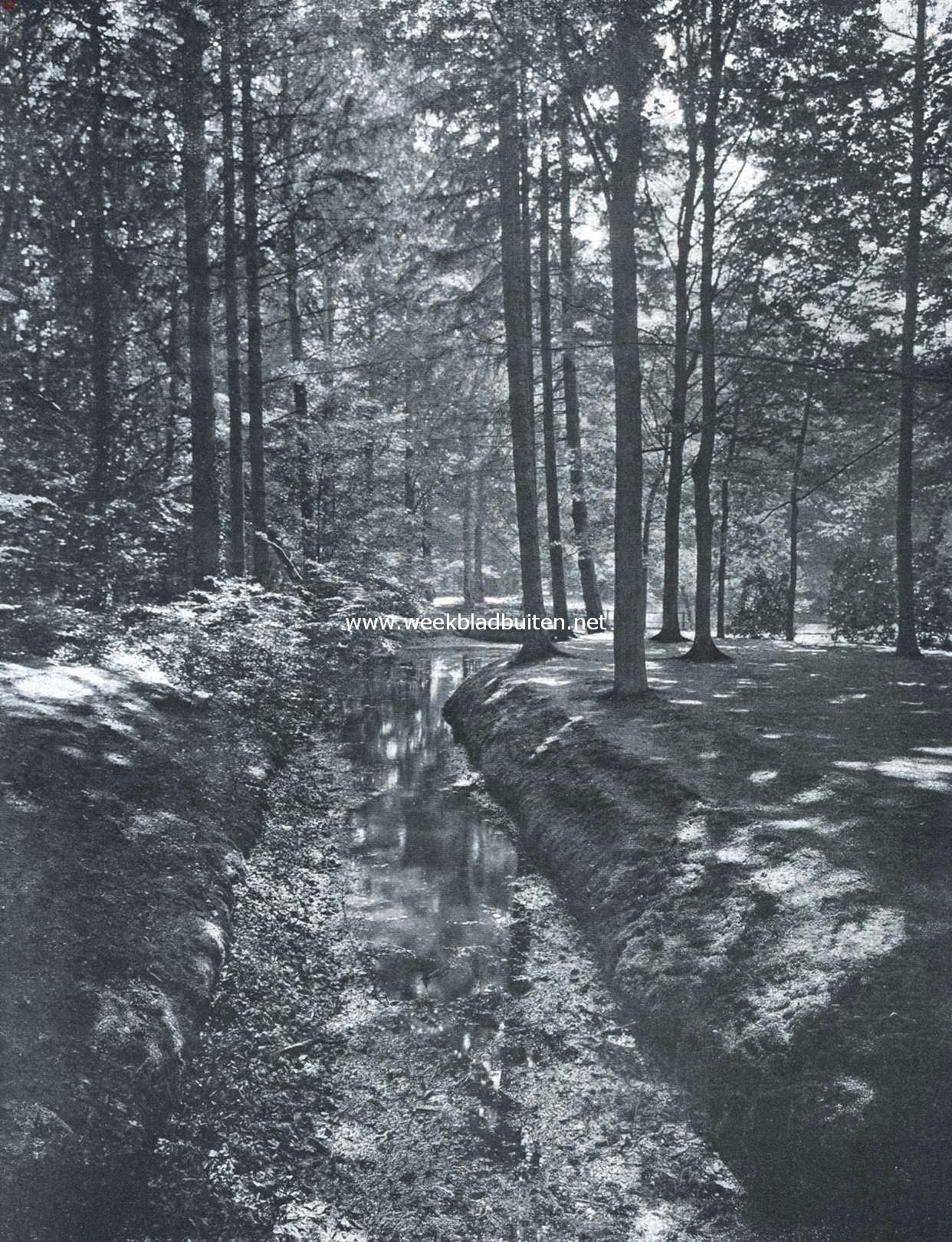 Driebergen-Rijsenburg. Beek in het Rijsenburgsche bosch