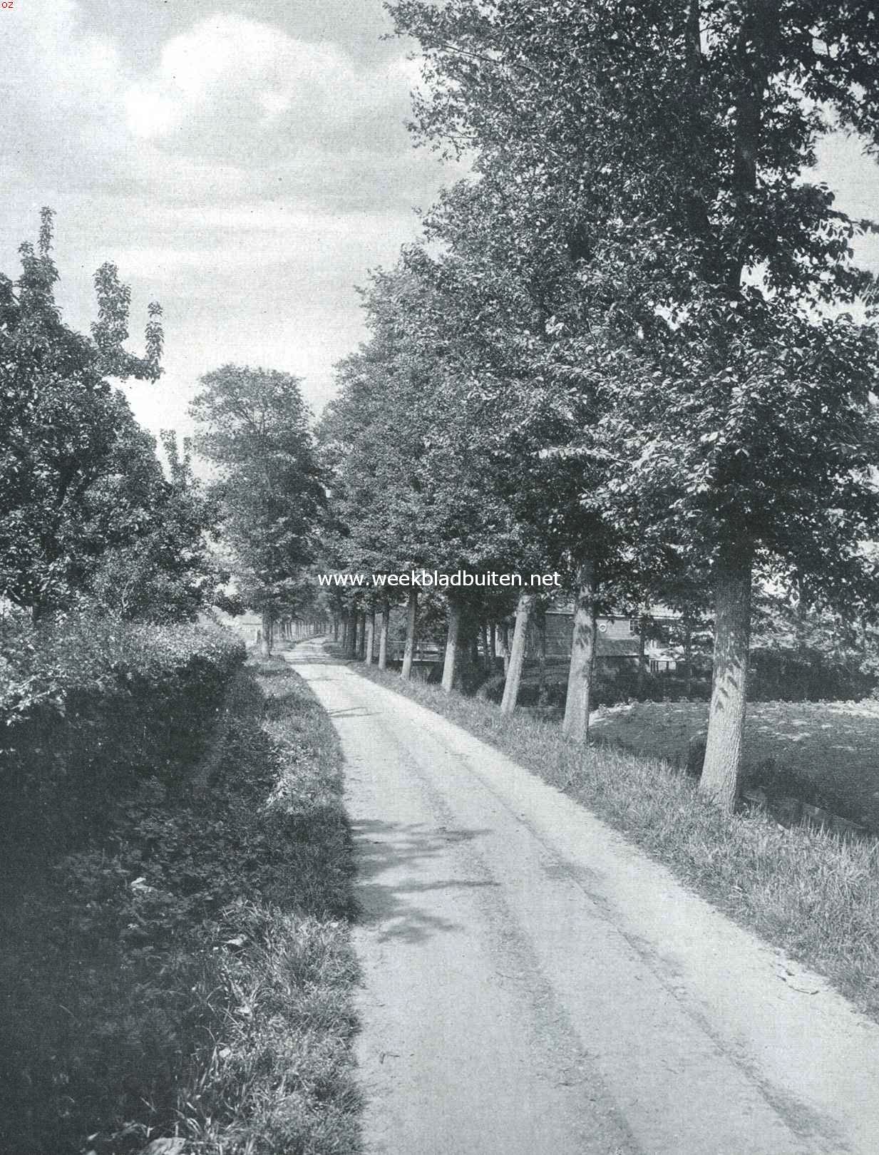 Bezuiden de 