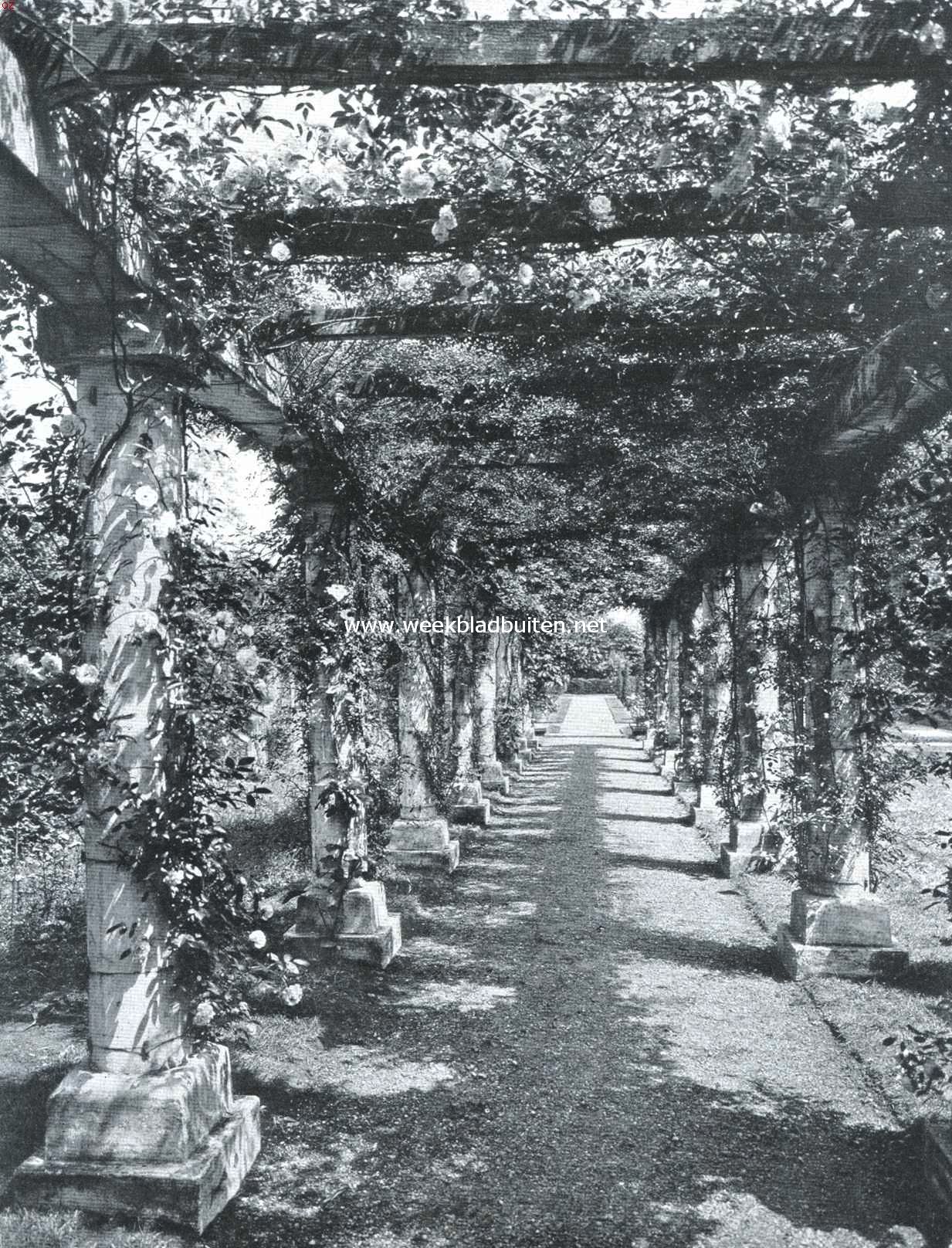 Van weiland tot tuin. In de pergola