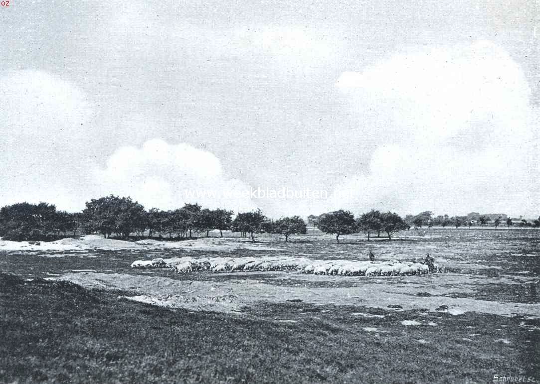 De Drentsche schaapherder. Op de heide bij Exloo