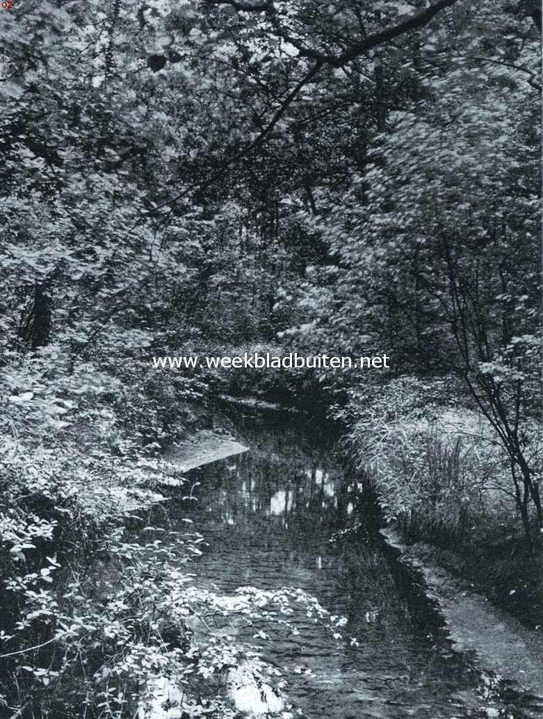 Het Landgoed de Hertgang. De Reusel in het bosch