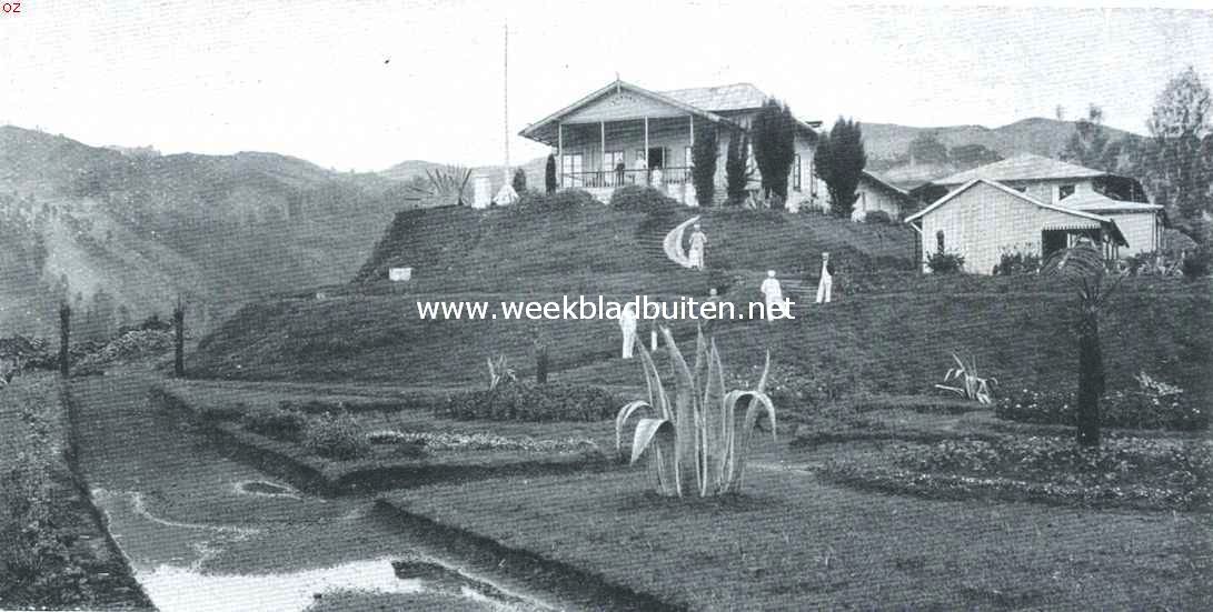 Naar de Bromo. Een paviljoen voor zieken en herstellenden van het sanatorium Tosari