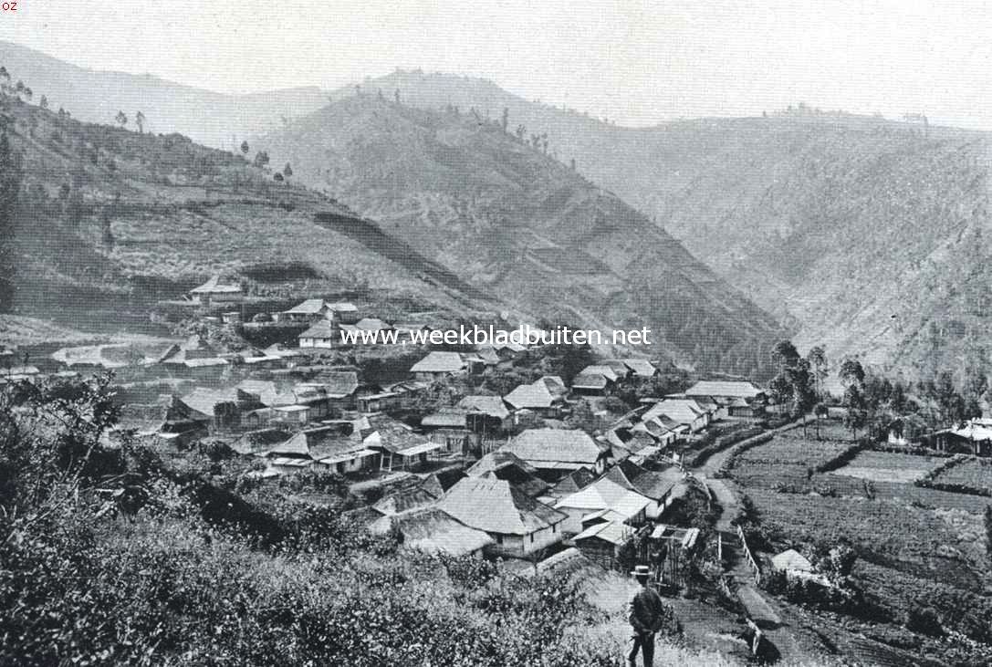 Naar de Bromo. Dessa Ledak (Tosari). Een tegen de berghelling gelegen typisch Tenggereesch dorp