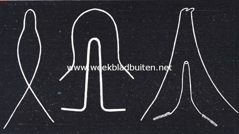 De wichelroede. Eenige vormen van wichelroeden. Uit Technisch Studententijdschrift