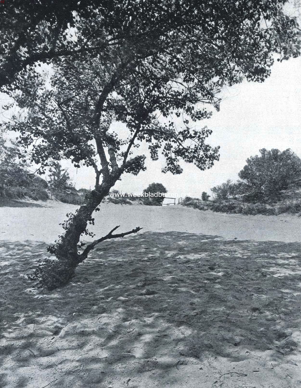 Oude Kennemer herbergen. De Blinkert bij Kraantje Lek