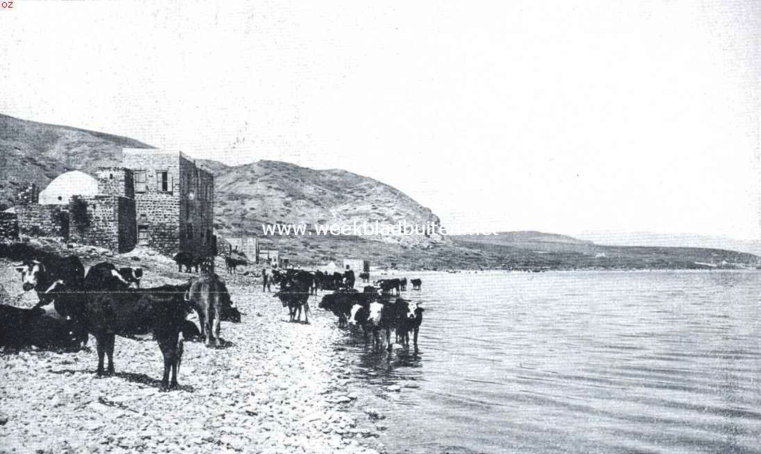 Wandelingen in Palestina. Het meer van Galilea bij Tiberias