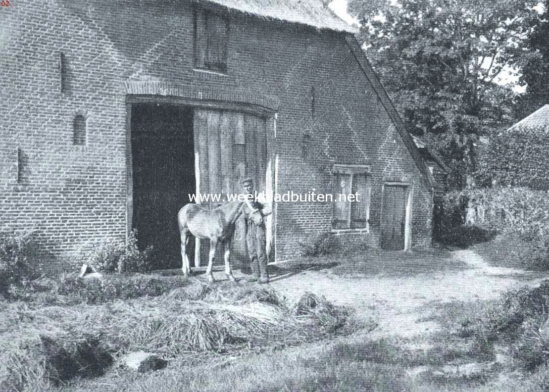 Twee vrienden
