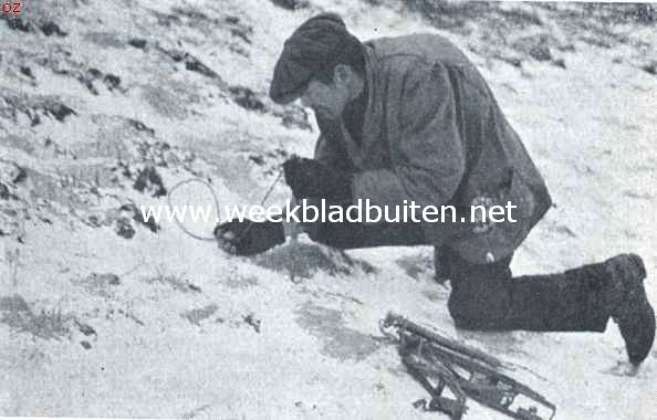  Met den koddebeier op pad. Het uitzetten der strikken