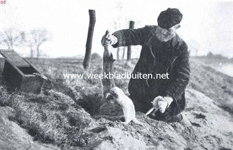  Met den koddebeier op pad. De buit