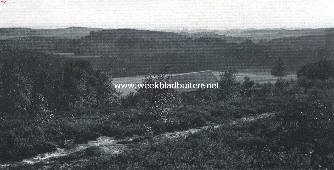 Beekhuizen als bergland. Uitzicht van den Zypenberg in de richting van Velp, waarvan het torentje aan den horizon boven het midden van de schuur uitkomt. De boomerij achter het eerste dennenbosch wijst de beek aan; daarachter de tusschenrug, weer daarachter de Ijsselrug, en aan den horizon den Ijsselvlakte