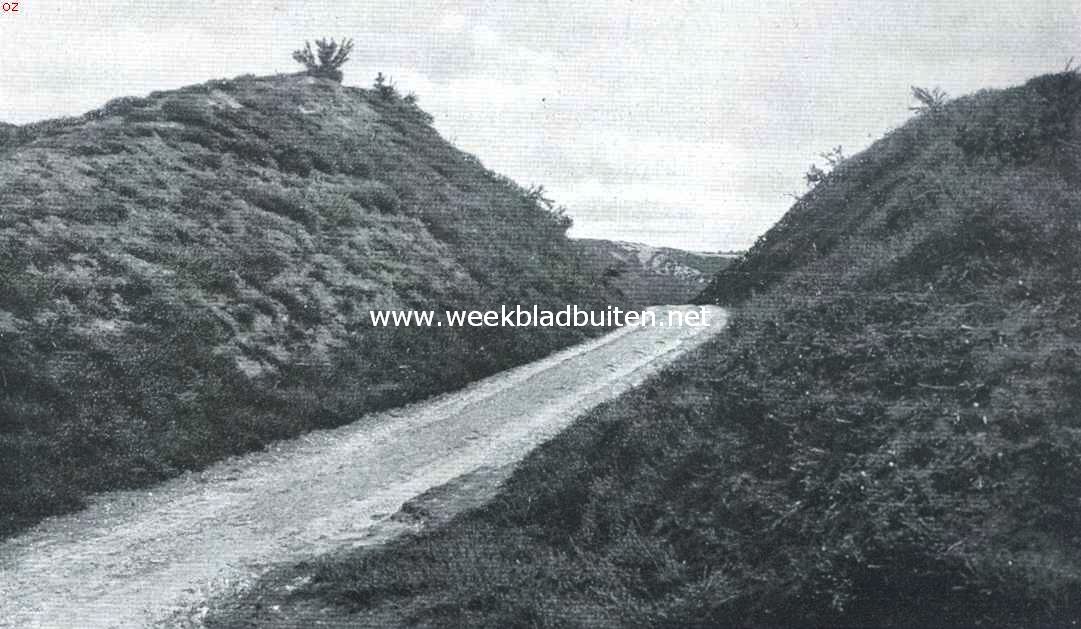 Beekhuizen als bergland. Berg