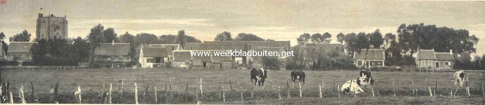 Aan het uiterste puntje van ons land. Gezicht op Sint Anna te Muiden