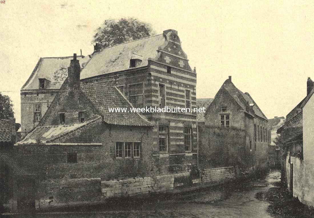 Van twee schildpadden. Het museum van het Natuurhistorisch Genootschap in Limburg te Maastricht