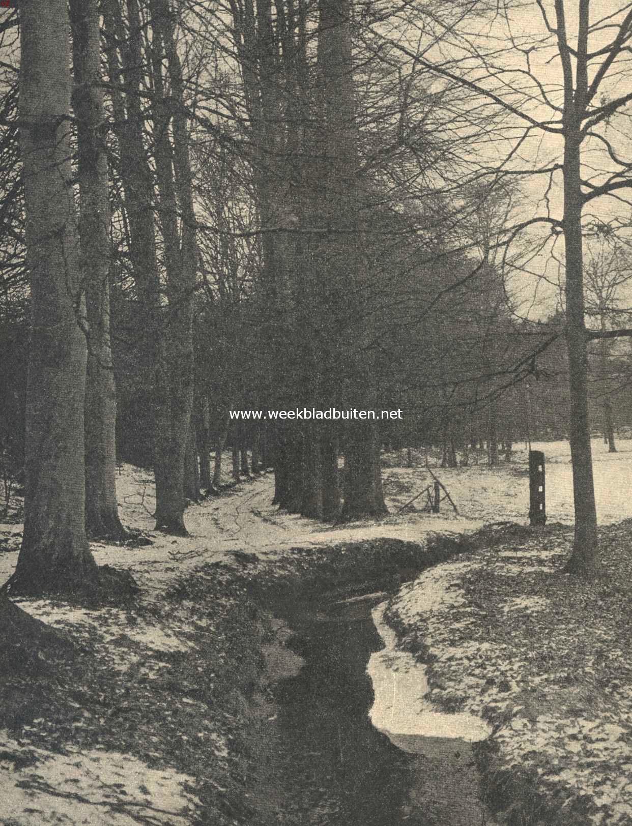 Winter in 't Beekhuizerbosch