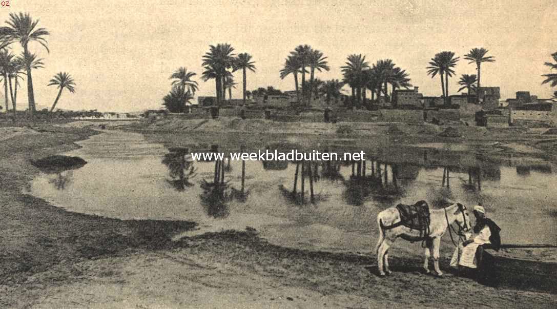 De Nijlreis. Nijllandschap