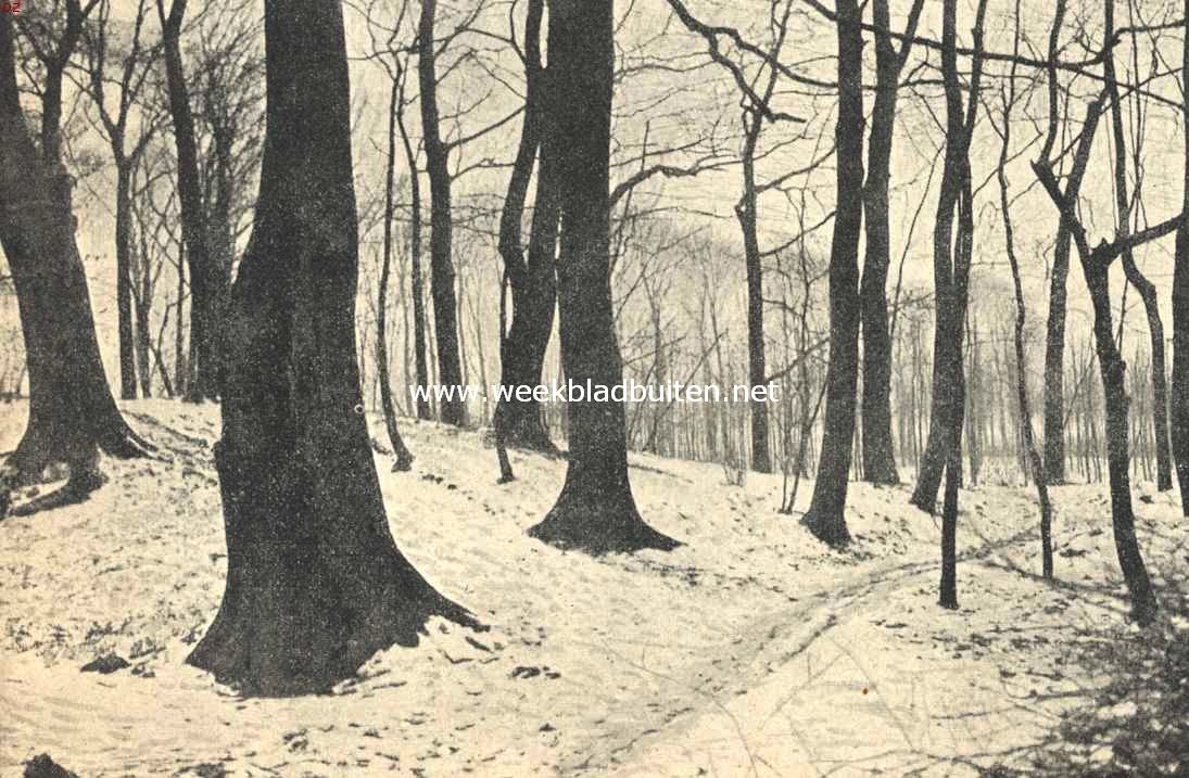 De buitenplaats 