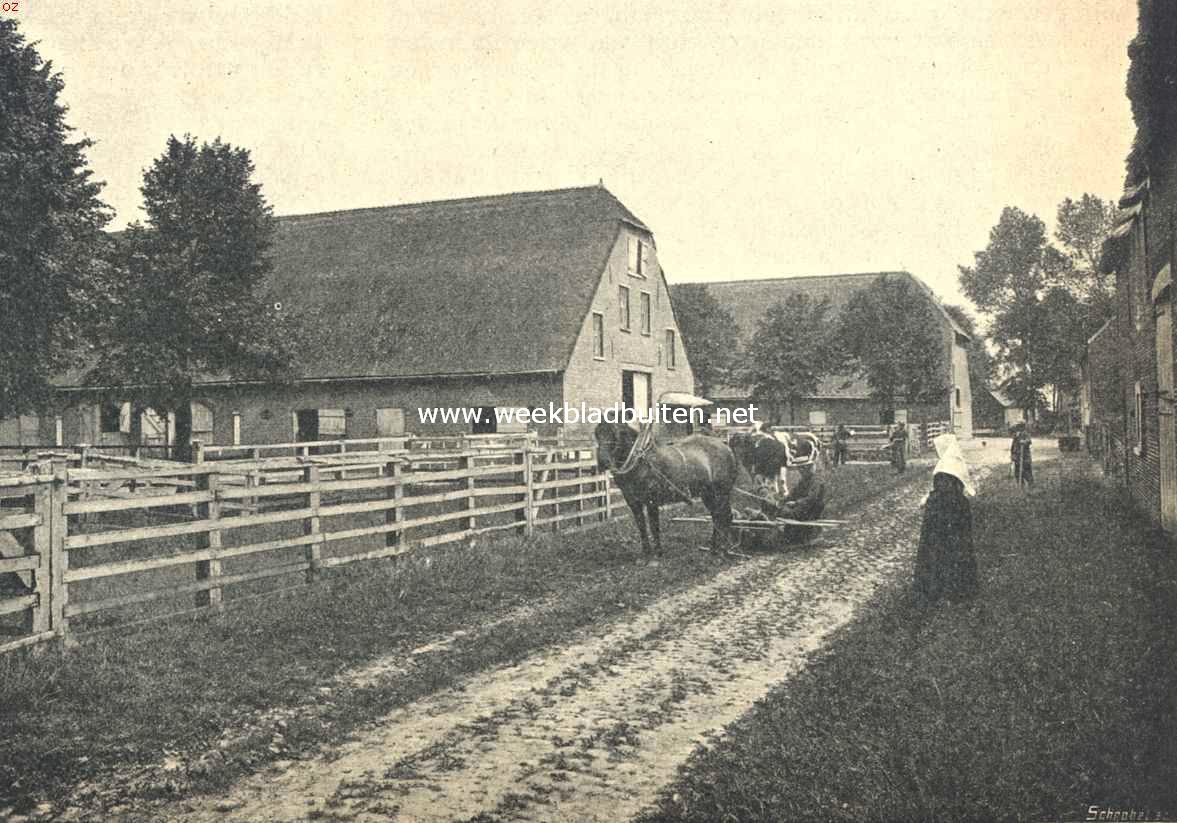 De landbouw in Zeeuwsch-Vlaanderen. Hofstede en schuur in den Prosper-polder
