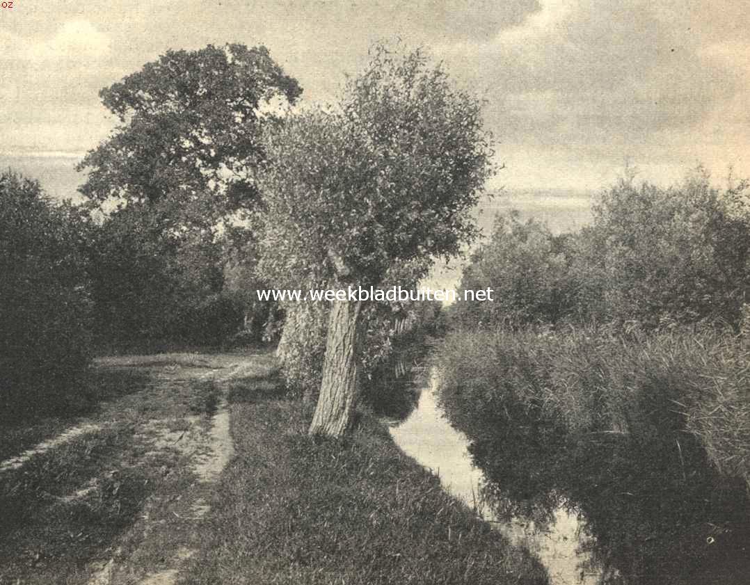 De Zandersloot in de Heilorbosschen