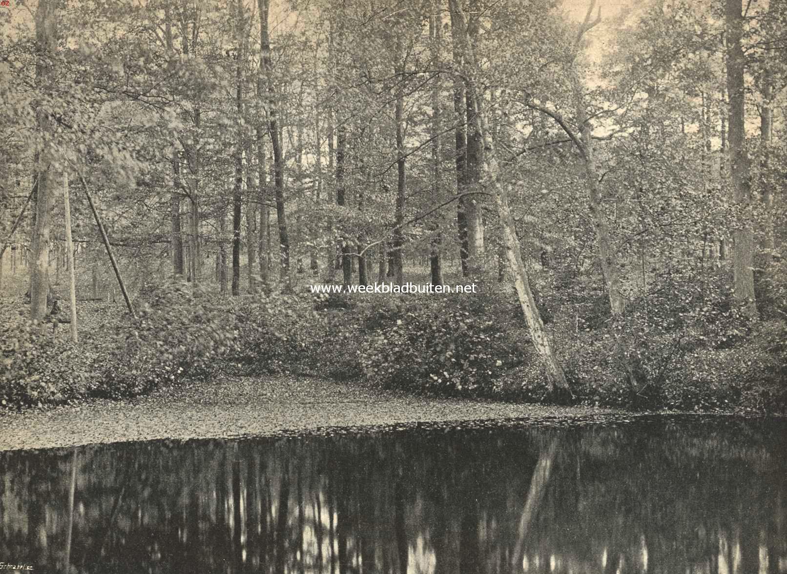 Het Nederl. Openlucht Museum. Aan een der vijvers op den Waterberg, het terrein van het Nederlandsch Openlucht-Museum
