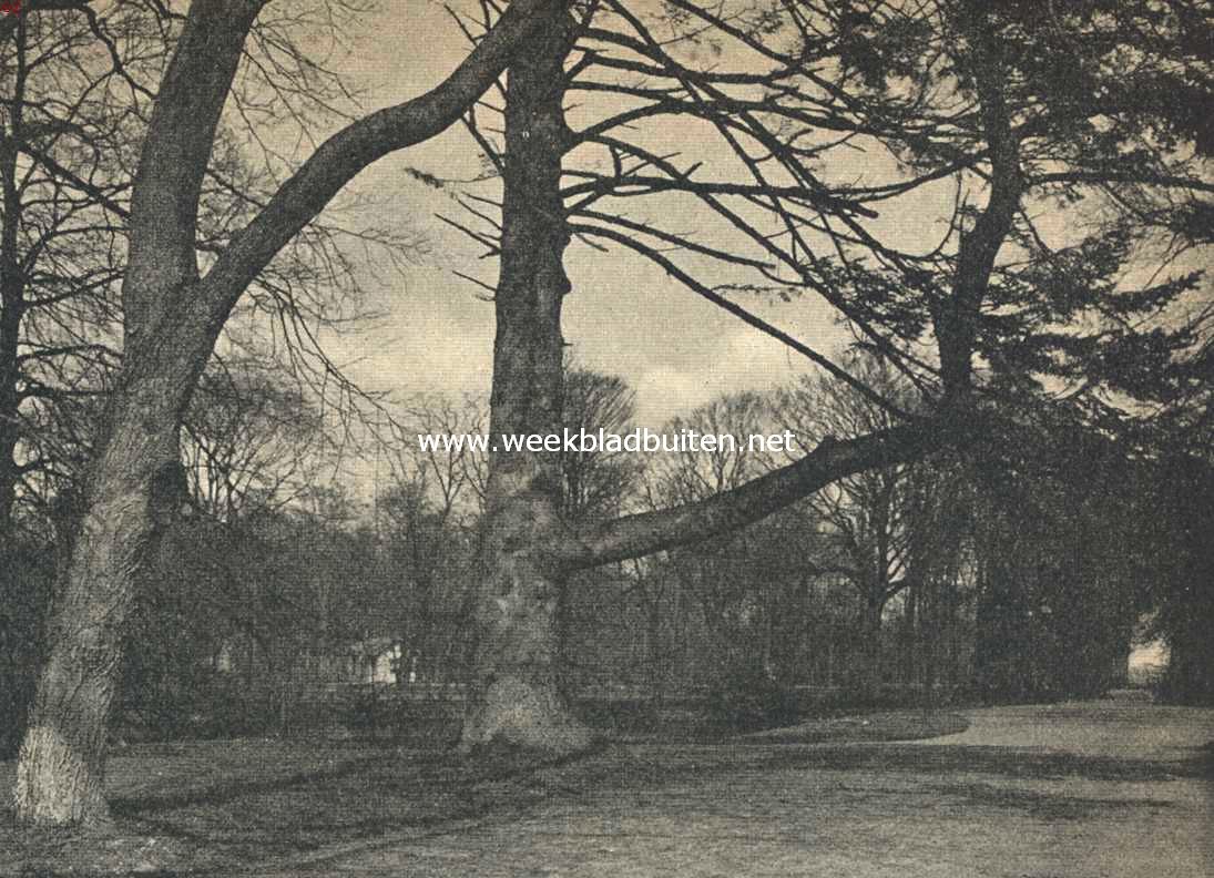 Nijenburg. In het park van Nijenburg