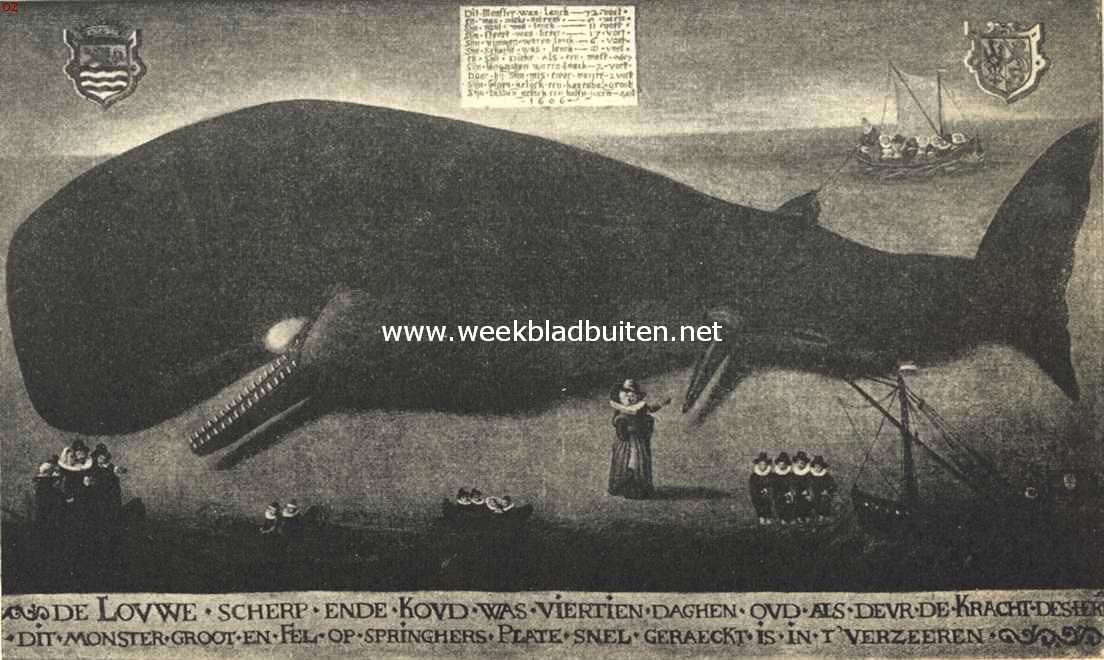 Een merkwaardig schilderij. Het schilderij van den potvisch, die in 1606 bij Brouwershaven strandde, na de restauratie. Thans in het Rijksmuseum van Natuurlijke Historie te Leiden