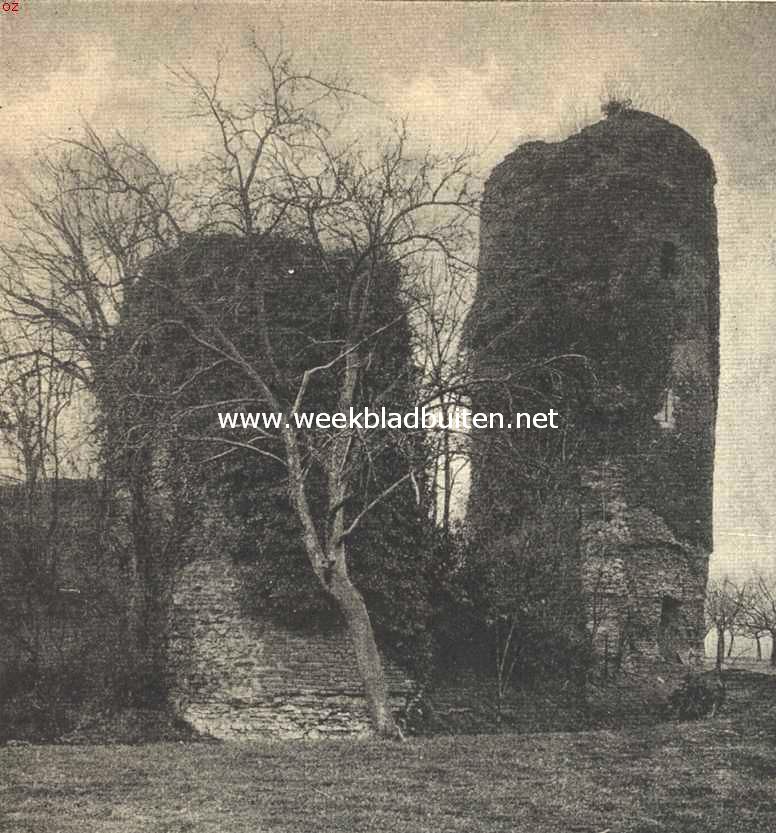 Het Huis Millen (Nieuw Stad in Limburg). Het Huis Millen. Rune van het oude kasteel