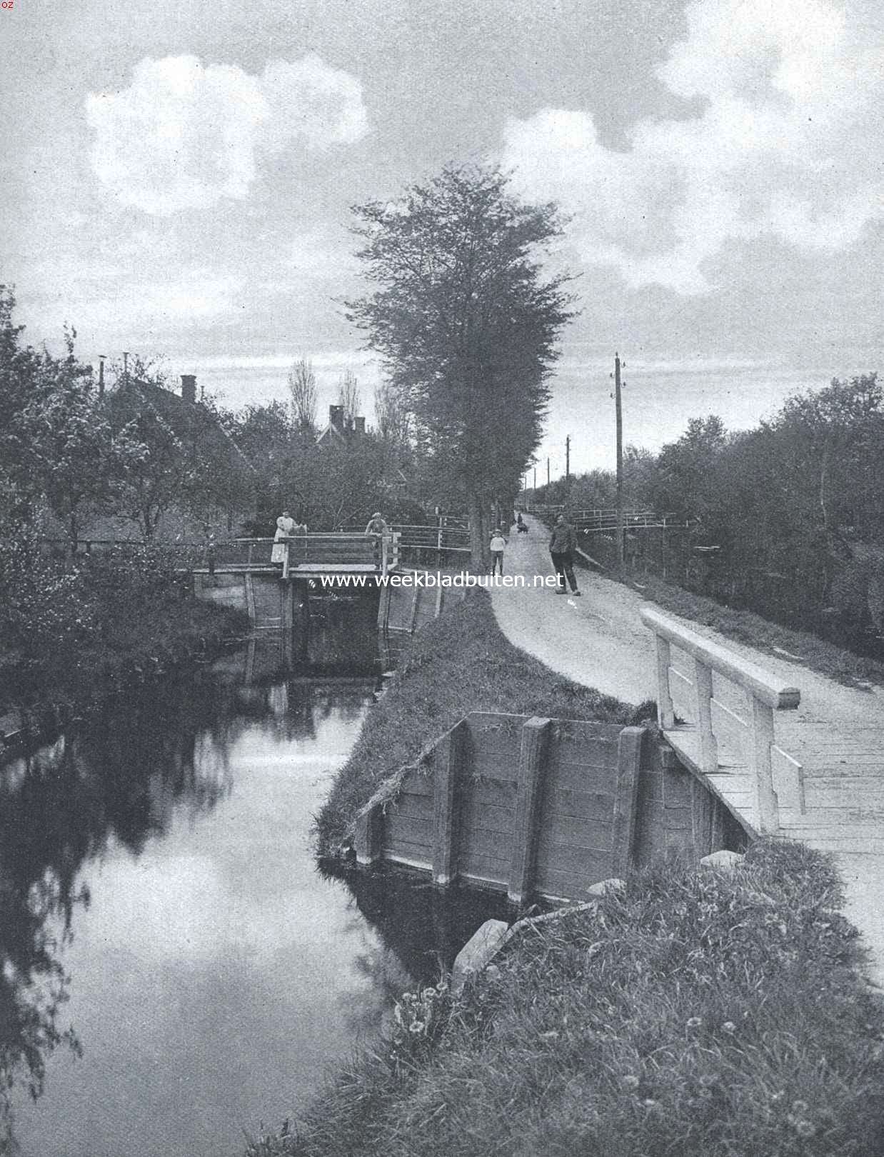 De Bangert bij Hoorn