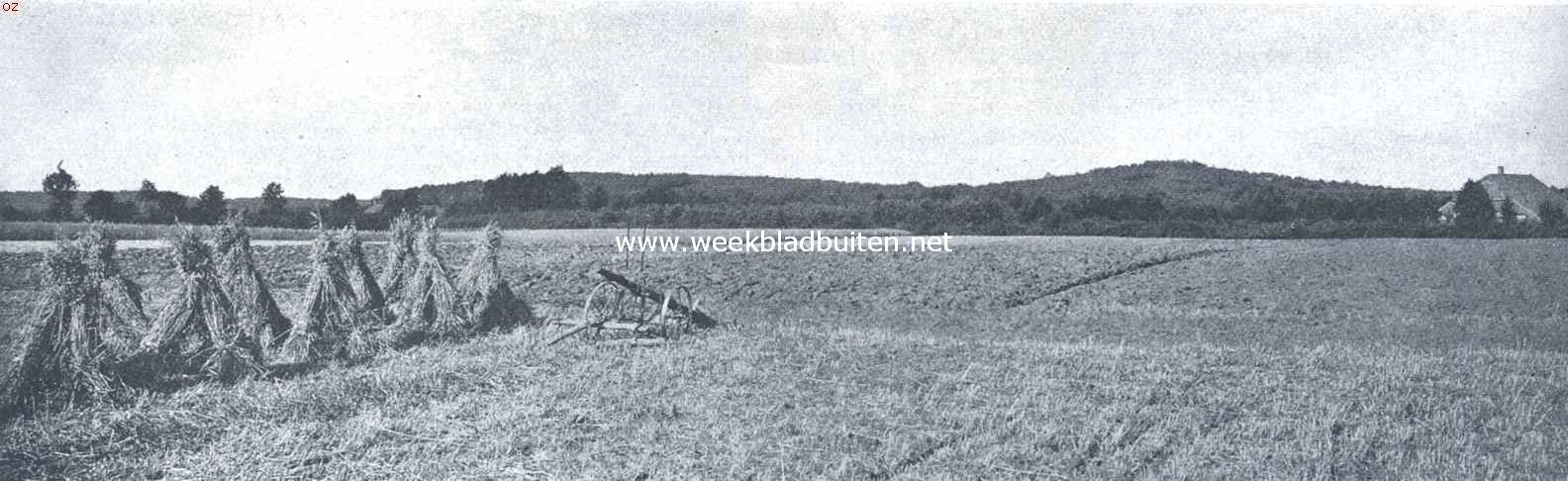 Lochem en Barchem. Gezicht van de Barchemsche enk op de Barchemsche Heuvelrij