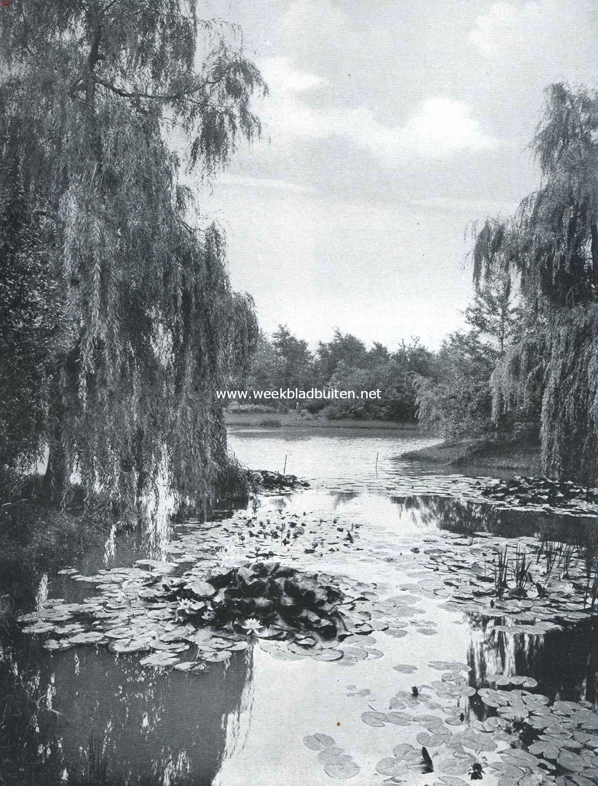 Vijver in het Rengerspark te Leeuwarden