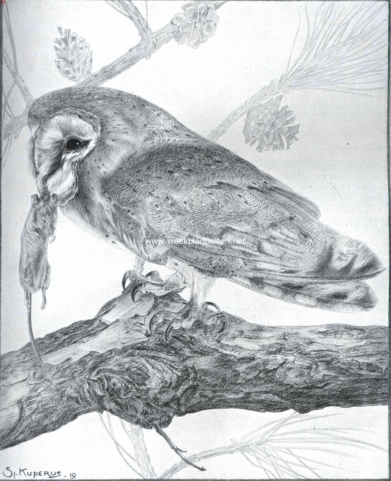 Tekening uil met muis (blad ontbreekt in boek met bijschriften)