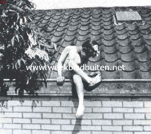 Buiten. Een herinnering aan de heete Septemberdagen. 12 September 1919 (30,9 graden Cels.)
