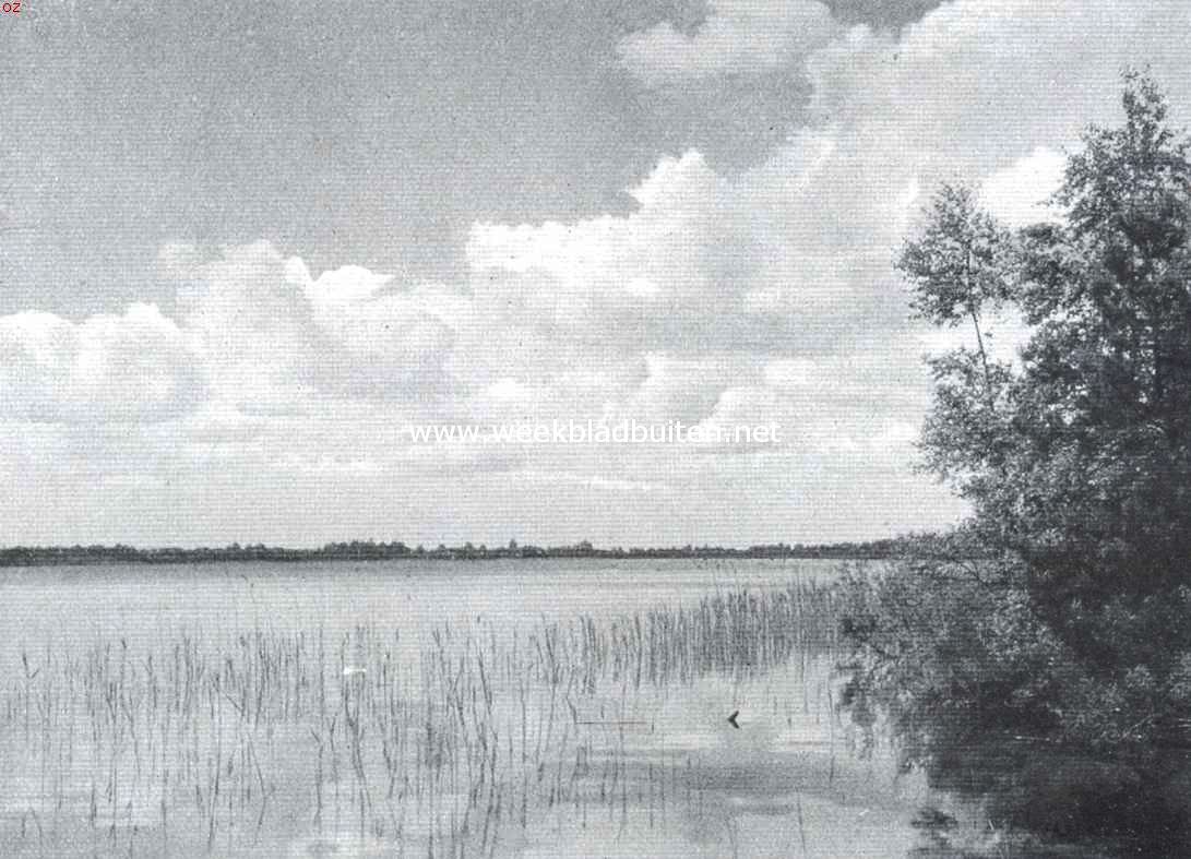 Het meer de Ijzeren Man bij Vught (Noord-Brabant)