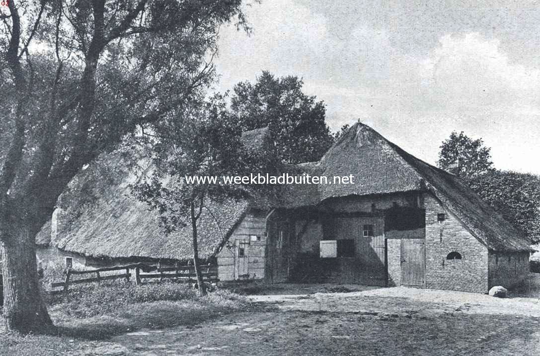 Diever en Dwingelo. Boerderij te Dwingelo