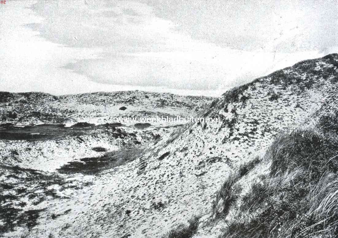 De Egmonden. In de duinen Egmond aan Zee