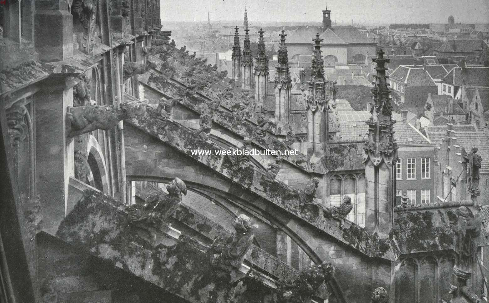 De St. Jans Kathedraal te 's Hertogenbosch. De luchtbogen aan de noordzijde der kerk