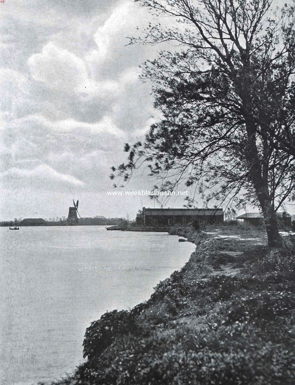 Het Zuider-Buiten-Spaarne, ten zuiden van het Haarlemmerhoutpark