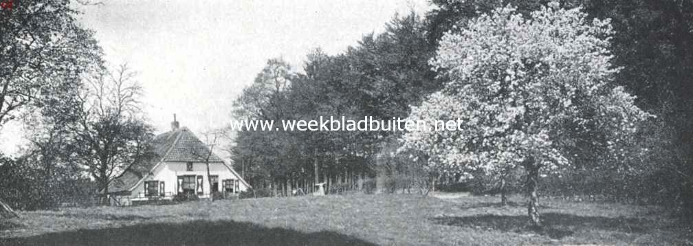 Landschappelijk schoon 1