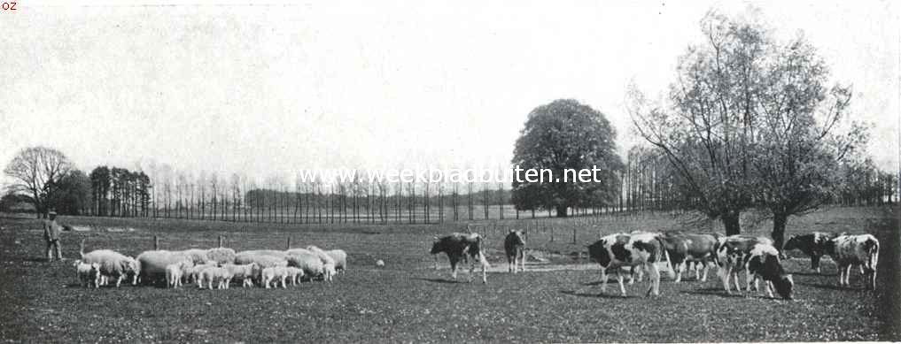 Landschappelijk schoon 2