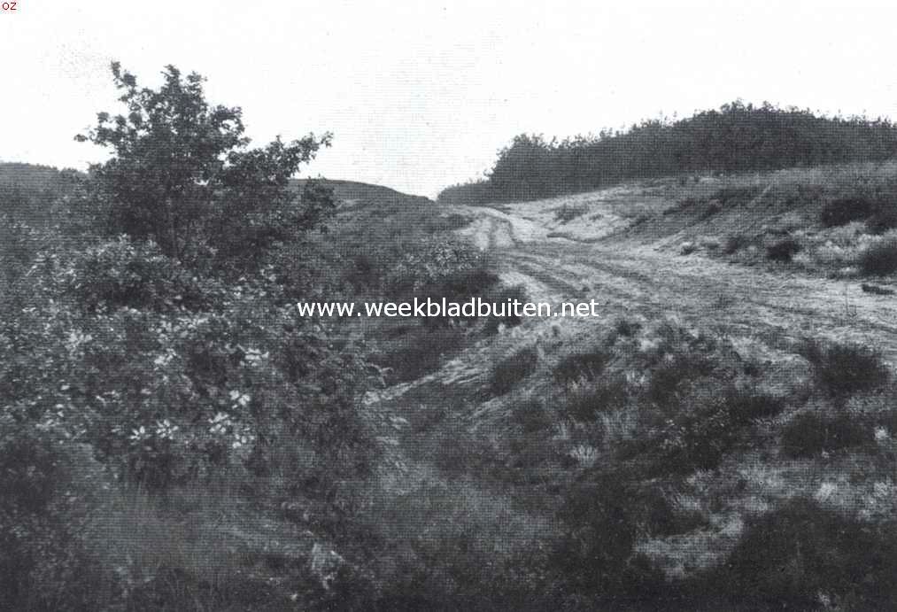 Het Hatertsche Vennenland. Het Wijchensche weggetje