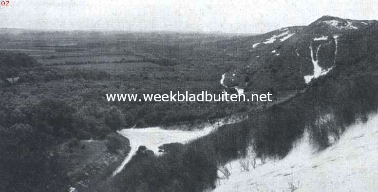Walcheren. Gezicht van de hooge duinen bij Valkenisse