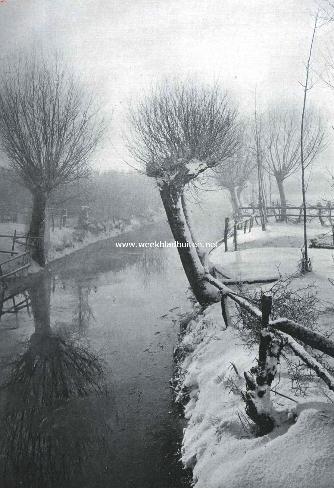 Winter bij de sloot
