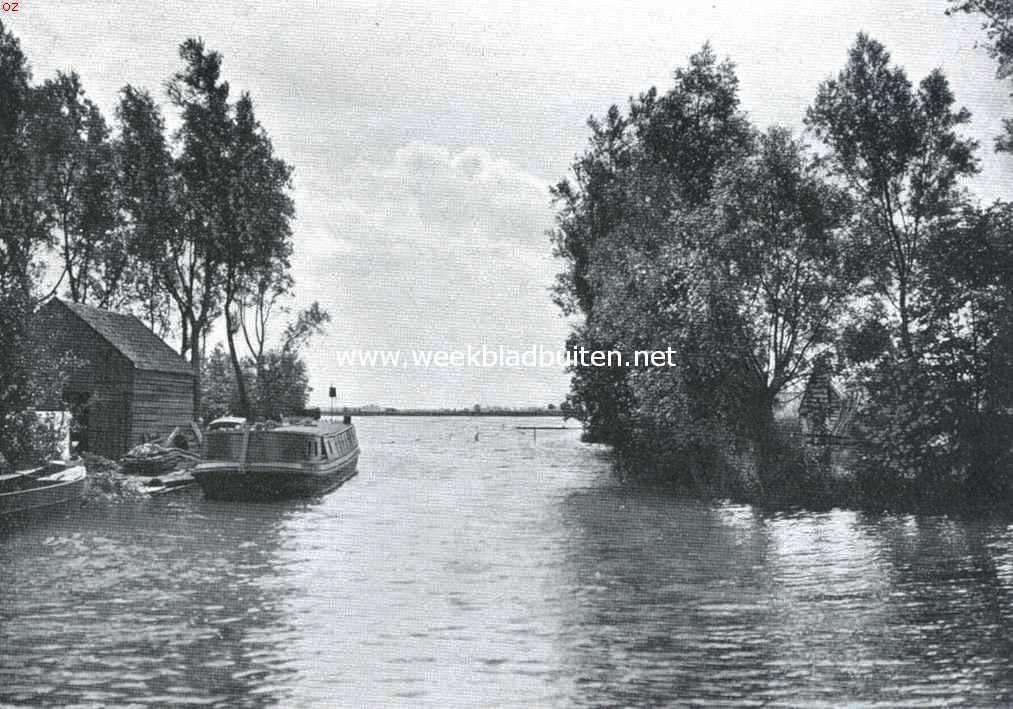 De uitgeveende plas bij Nieuwkoop