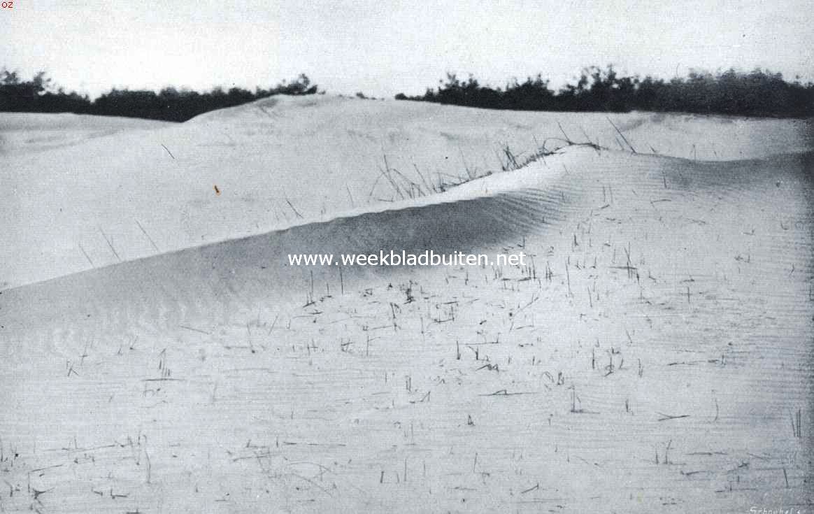 Terra incognita. Een zandgolf