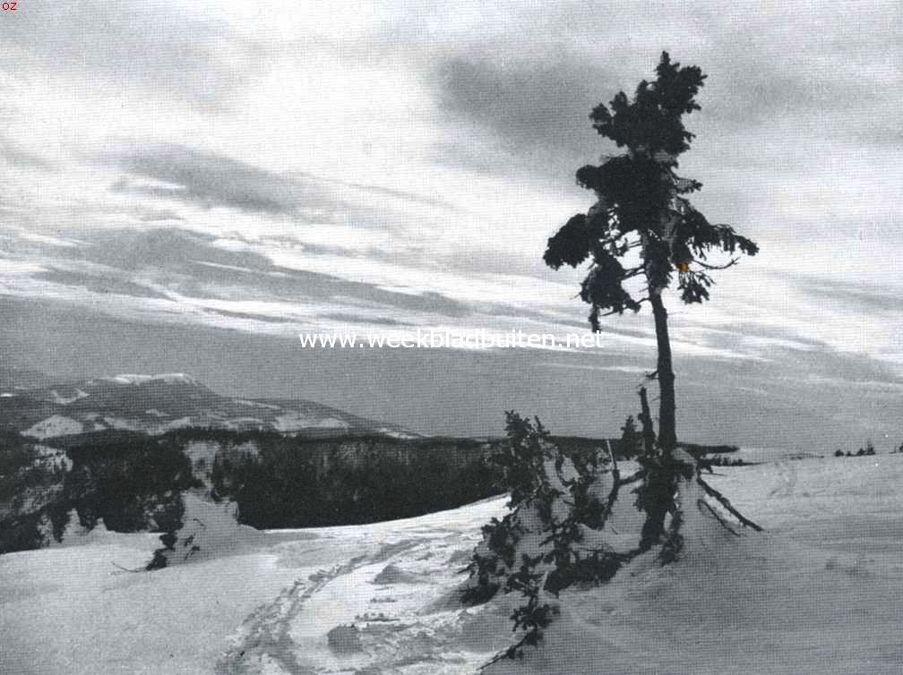 Wintergezicht op den Feldberg (Schwarzwald)