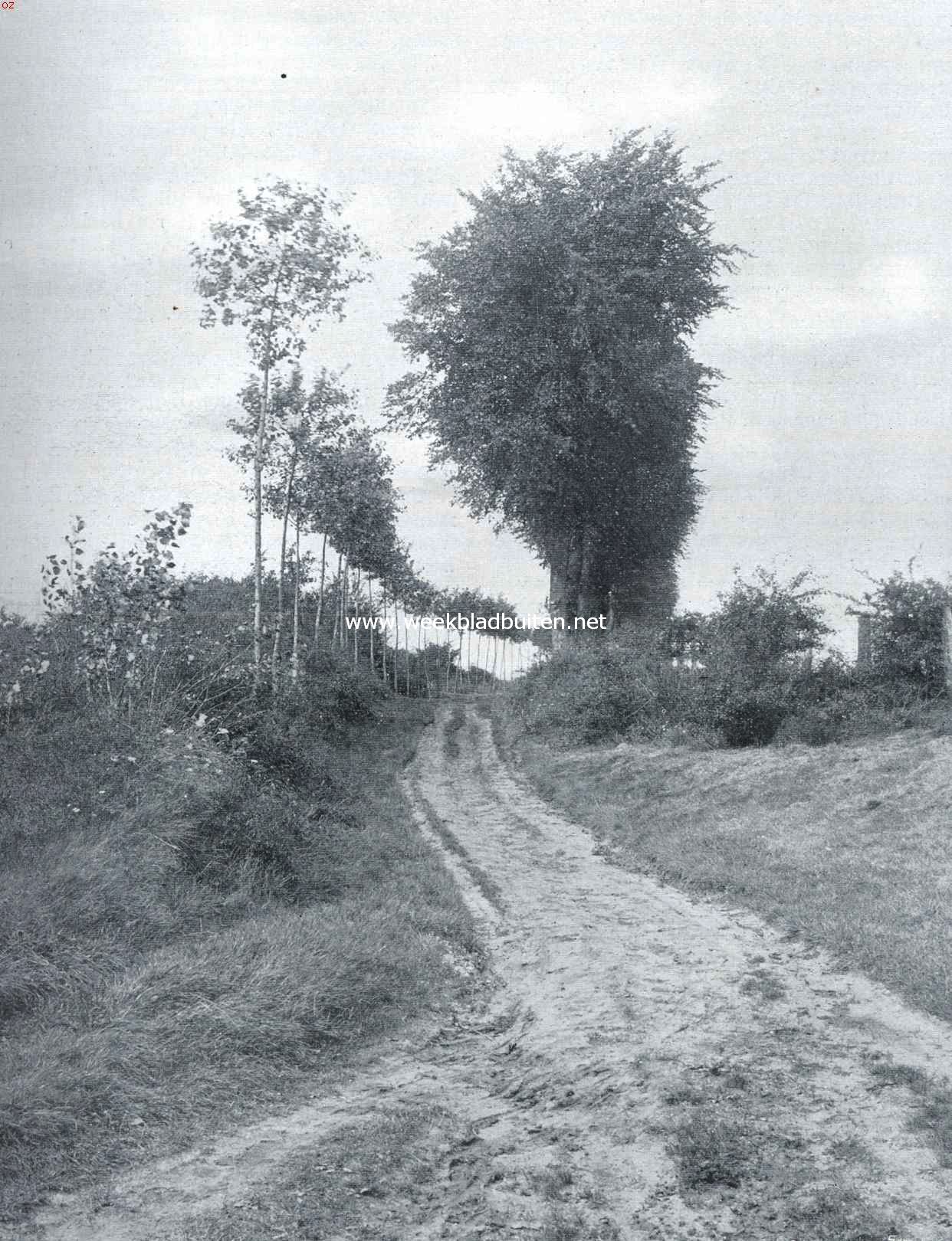 Laantje bij Gennep