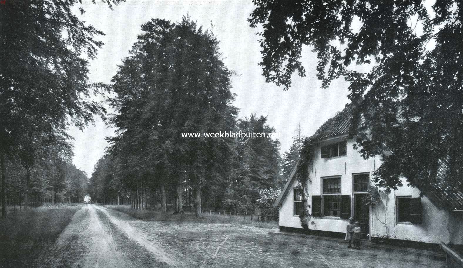 Het Huis Moersbergen. Laan naar het Huis Moersbergen