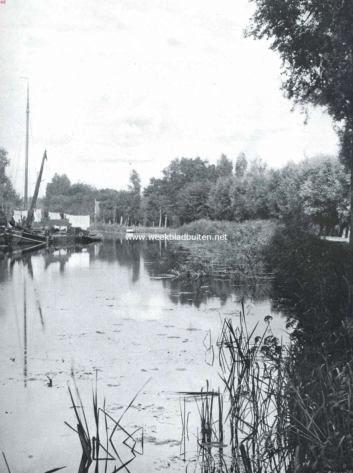 Een boomrijk plekje in het polderland